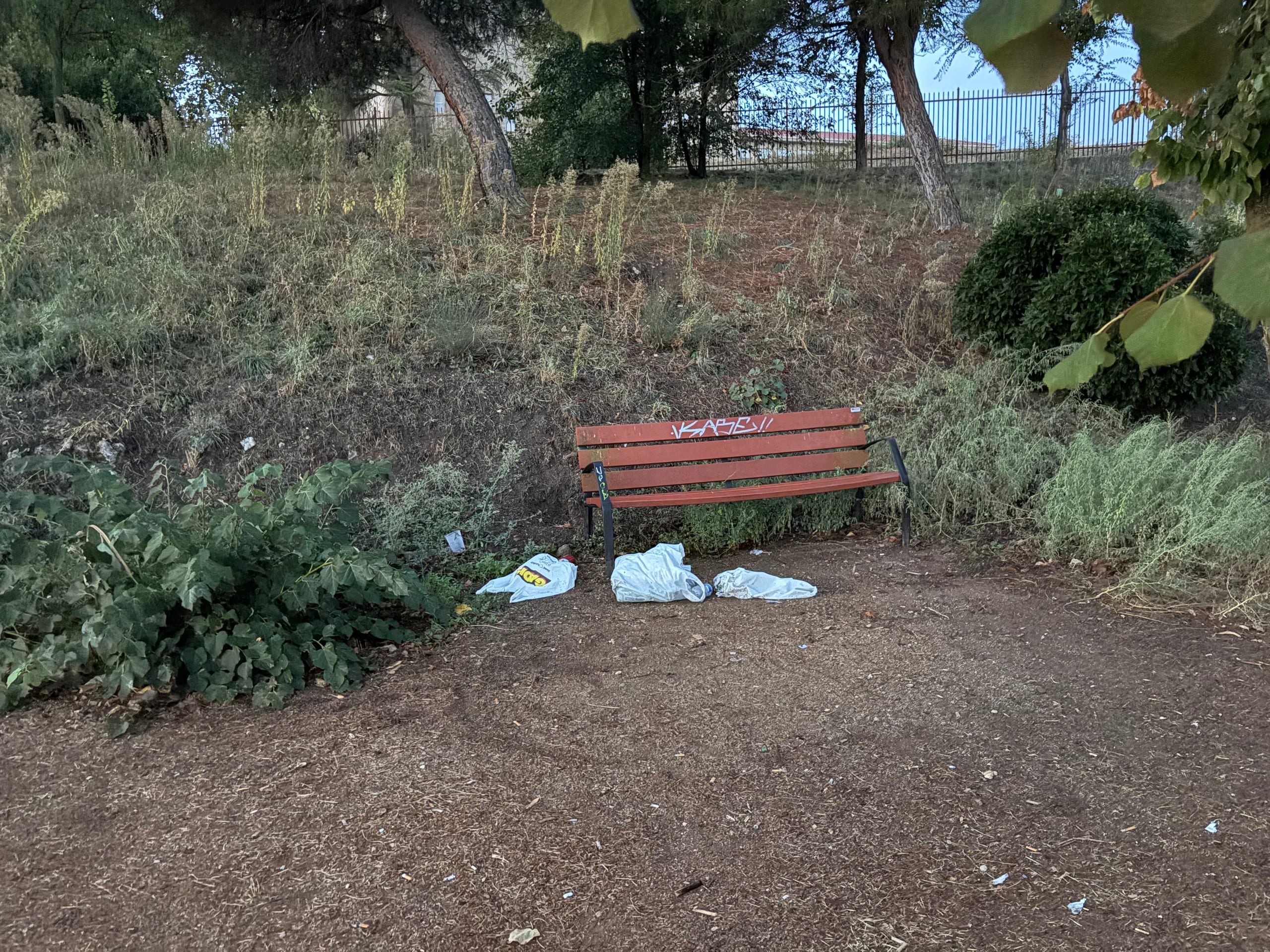 Fotodenuncia del estado sufrido por la zona del Parador de Salamanca