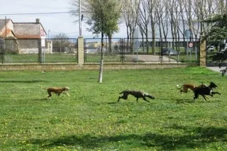 El Pleno aprueba la mejora en la iluminación en el parque del Baldío con un nuevo rechazo de Ganemos