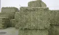 Alfalfa empacada. ARCHIVO