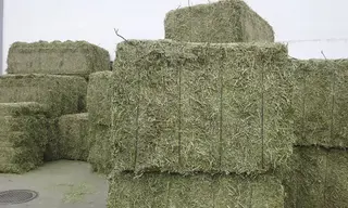 Alfalfa empacada. ARCHIVO