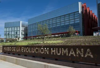 Los museos regionales de Castilla y León ofrecen originales actividades en verano