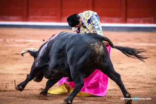 Crónica domingo toros