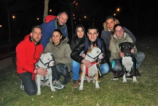 Club de Amigos del Perro de Presa de Salamanca: “Los perros no son responsables de nada”