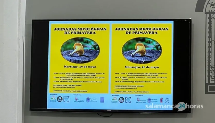 La diputada de medio ambiente, Pilar Sánchez en la presentación de las II Jornadas Micológicas en Salamanca. Foto S24H