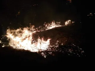 FUEGO