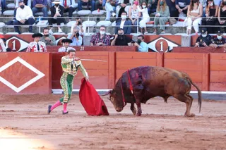 tercera corrida de abono 2021 09 11 at 18.33.25