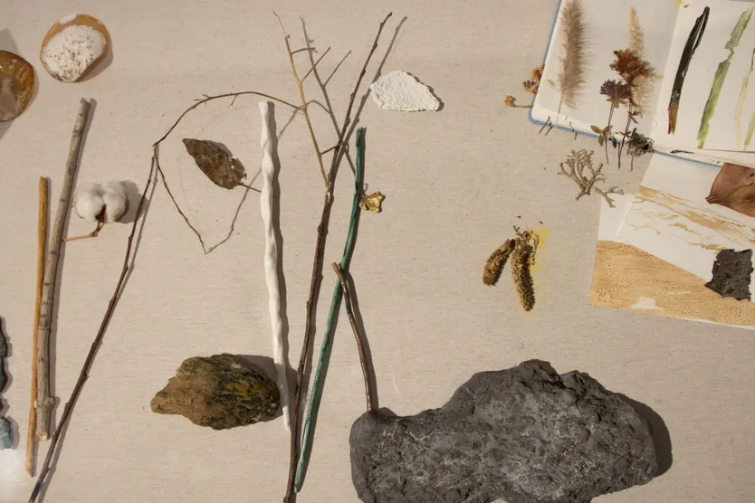 El Centro Cultural Hispano Japonés de la USAL inaugura la exposición “Haikugráfica: Instantes de la naturaleza”