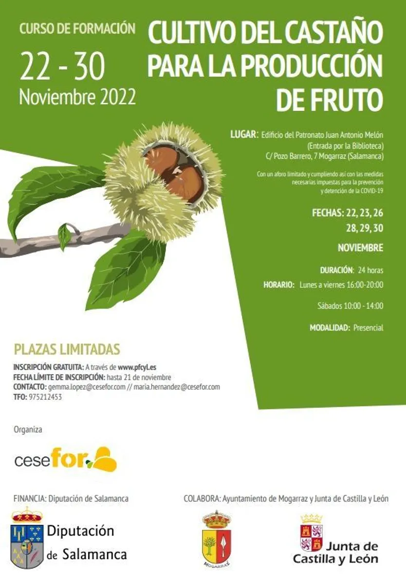 Cartel cultivo castaño