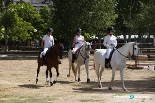 Feria de Alba sábado (66)