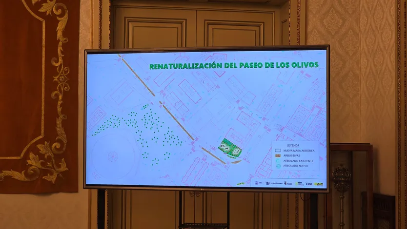 Presentación de un nuevo proyecto de renovación de parques y plazas de la ciudad