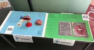 Premios de la anterior edición de la Semana del Cerebro