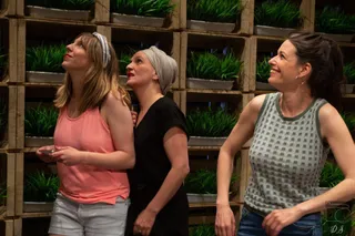 El Teatro Liceo acoge la obra ‘El enjambre’, una comedia dirigida por Mireia Gabilondo y protagonizada por seis actrices