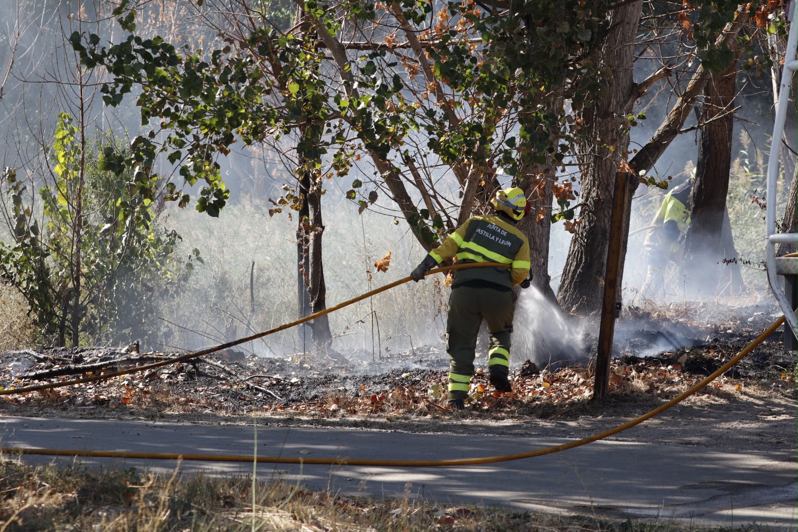 Incendio en las Vi&ntilde;as. Santa Marta.