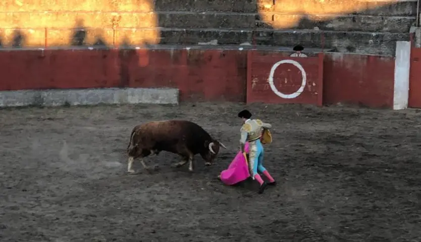Novillada en Pereña de la Ribera 2021