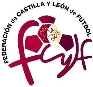 Cuatro salmantinos entrenarán de nuevo con la selección de Castilla y León UEFA