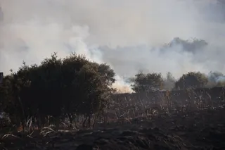 Unos petardos provocan un incendio de pasto en una parcela de Mozárbez. Foto Andrea M.