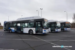 Autobuses (3)