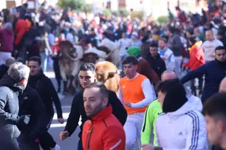 Encierro de sábado en el Carnaval del toro 2026 de Ciudad Rodrigo | Mateo G.J.