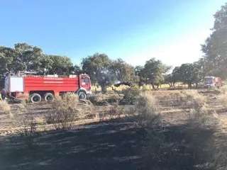 Intervención de Los Bomberos en Sando