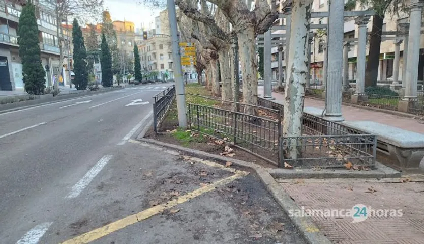 Un conductor pierde el control de su vehículo e impacta contra varios coches estacionados y una valla en la zona de los jardines del paseo de Carmelitas. Fotos Andrea M.