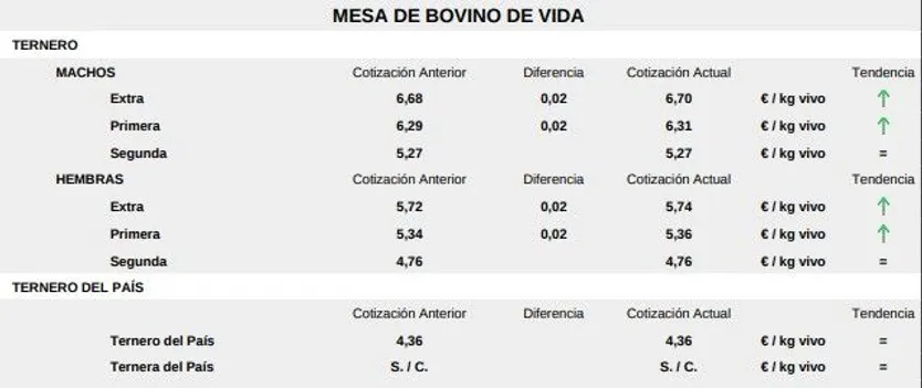 Lonja Salamanca mesa de bovino de vida 17 noviembre 2025
