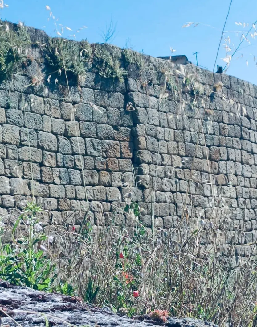 Muralla Ledesma