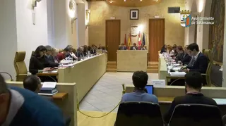 Pleno