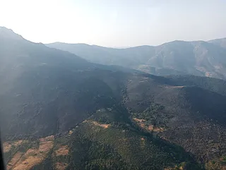 Incendio en Candelario | Naturaleza Castilla y León