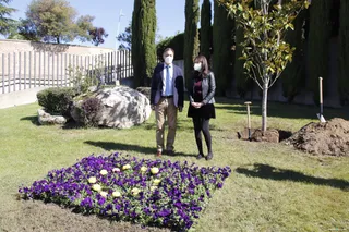 PLANTACIÓN DE 'UN ÁRBOL POR EUROPA'