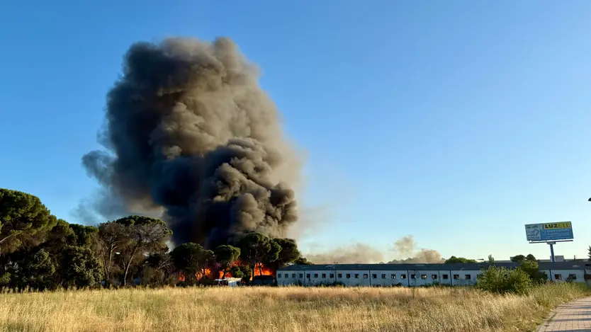 Incendio en una empresa de palets de Valladolid. Leticia Pérez | ICAL