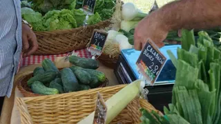 Mercado de Temporada