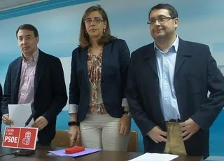 El PSOE lleva a las Cortes de Castilla y León las reivindicaciones de la marea blanca