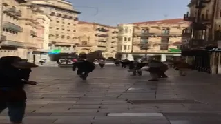 WhatsApp Video 2020 10 19 at 13.55.30