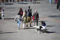Gente paseando por  la calle. Archivo