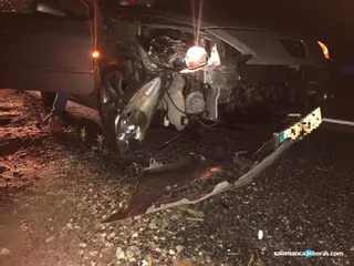 Accidente jabalí (2)