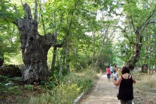 La Junta promociona en Madrid su oferta de turismo de naturaleza