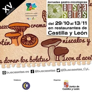 'Buscasetas' se extenderá hasta el próximo 13 de noviembre