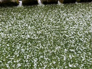 Granizo en Salamanca