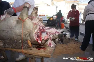 Primera jornada matancera en Castellanos