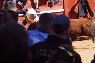 Encierro, capea y ambiente en Ciudad Rodrigo en este lunes de carnaval
