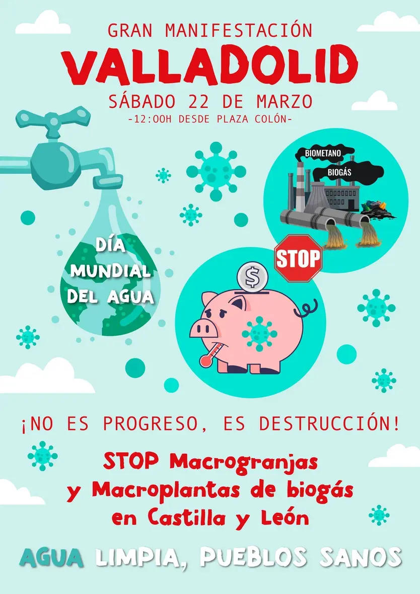Imagen de WhatsApp 2025 03 21 a las 11.12.44 ae8e7f20