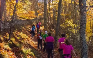 Se acerca la tradicional marcha de otoño de Béjar