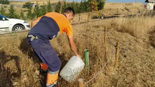 Trabajos de mantenimiento en el Camino de las Mariposas de la vía Verde de Alba (3)