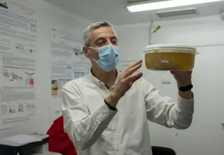 El banco de cerebros de Castilla y León está ubicado en el Incyl, en la universidad de Salamanca. Javier Herrero es el científico que lo dirige y se ocupa de su gestión. Foto ICAL (1)