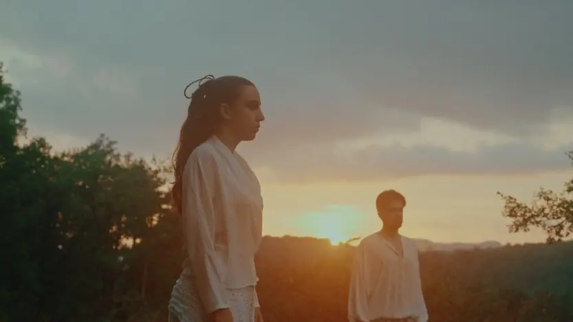Videoclip El Tesoro X Swallow X