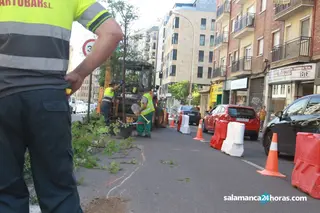 Cortes obras paseo Canalejas