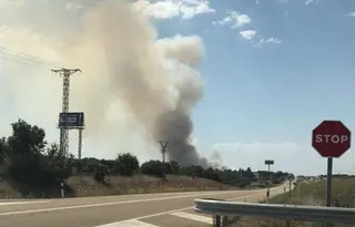 Otro incendio junto a La Rad calcina 56 hectáreas de pasto y arbolado