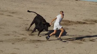 Fiestas de Santa Marta: Vaquillas