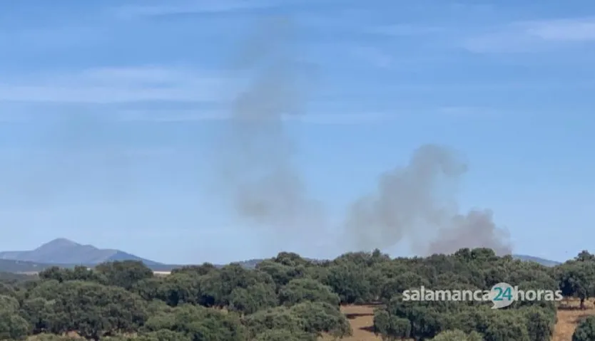 Incendio forestal en Zamarra