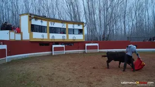 Distribuidos los participantes de la tercera fase del Bolsín Taurino Mirobrigense